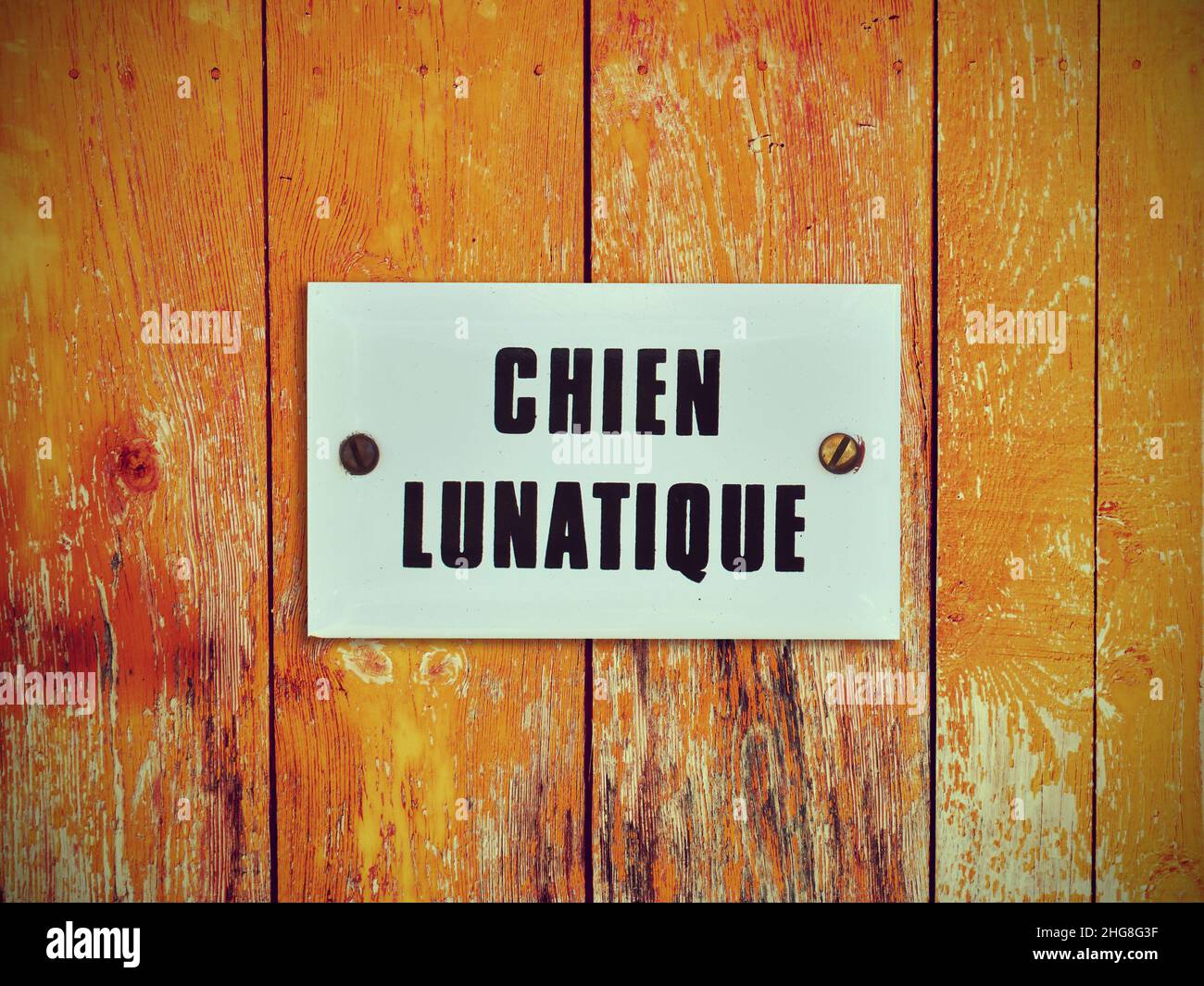 Chien lunatique, lunatic crazy dog, funny sign and warning in a door Stock Photo
