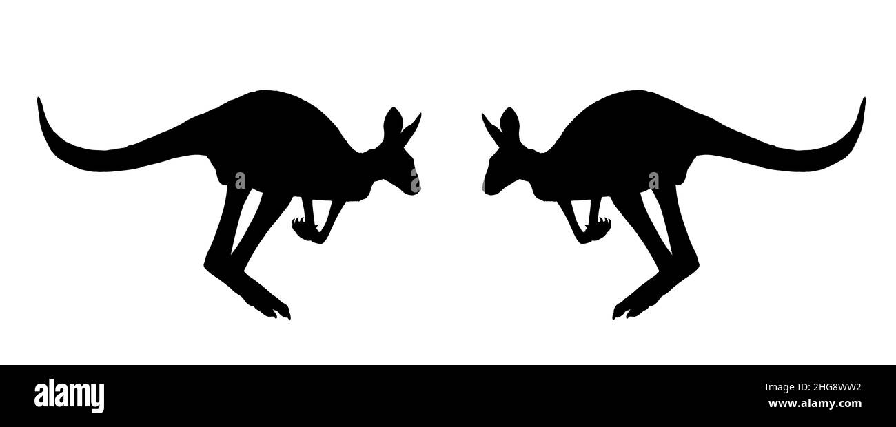 Jumping kangaroo drawing. Australian animals silhouette illustration. Stock Photo