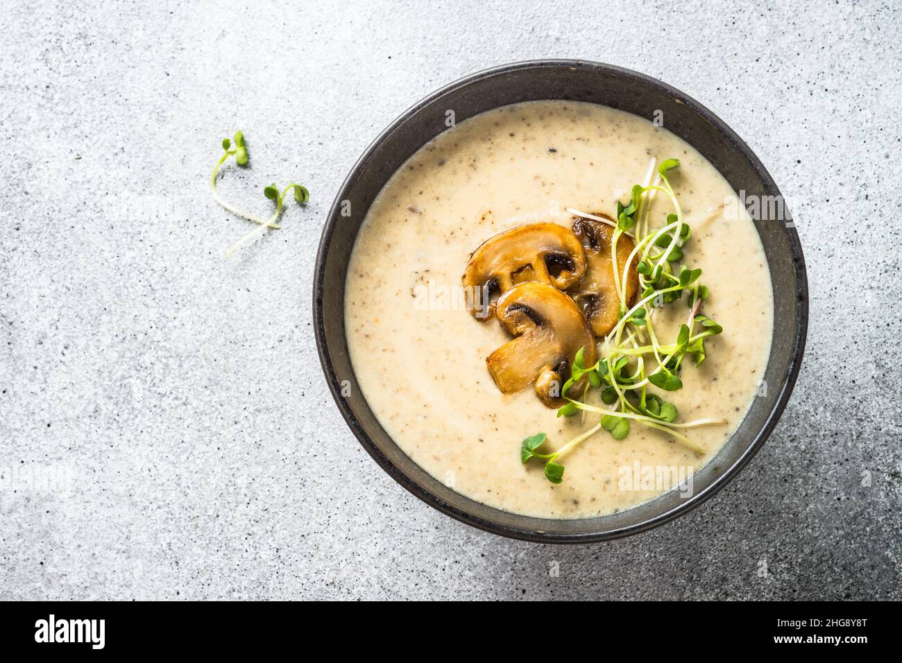 Mushroom Soup on light stone table. Champignon cream soup Stock
