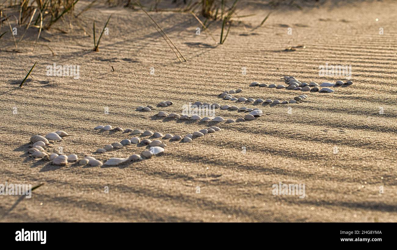 with shells laid symbol happiness on the beach of the Baltic Sea in the sand. Wishes for the vacation and life. Stock Photo