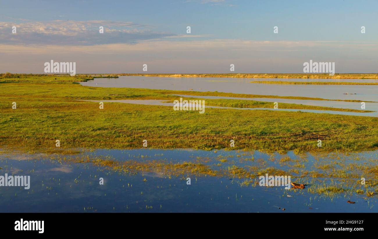 Beautiful spring background. Spring floodplain of the river. Ili river ...