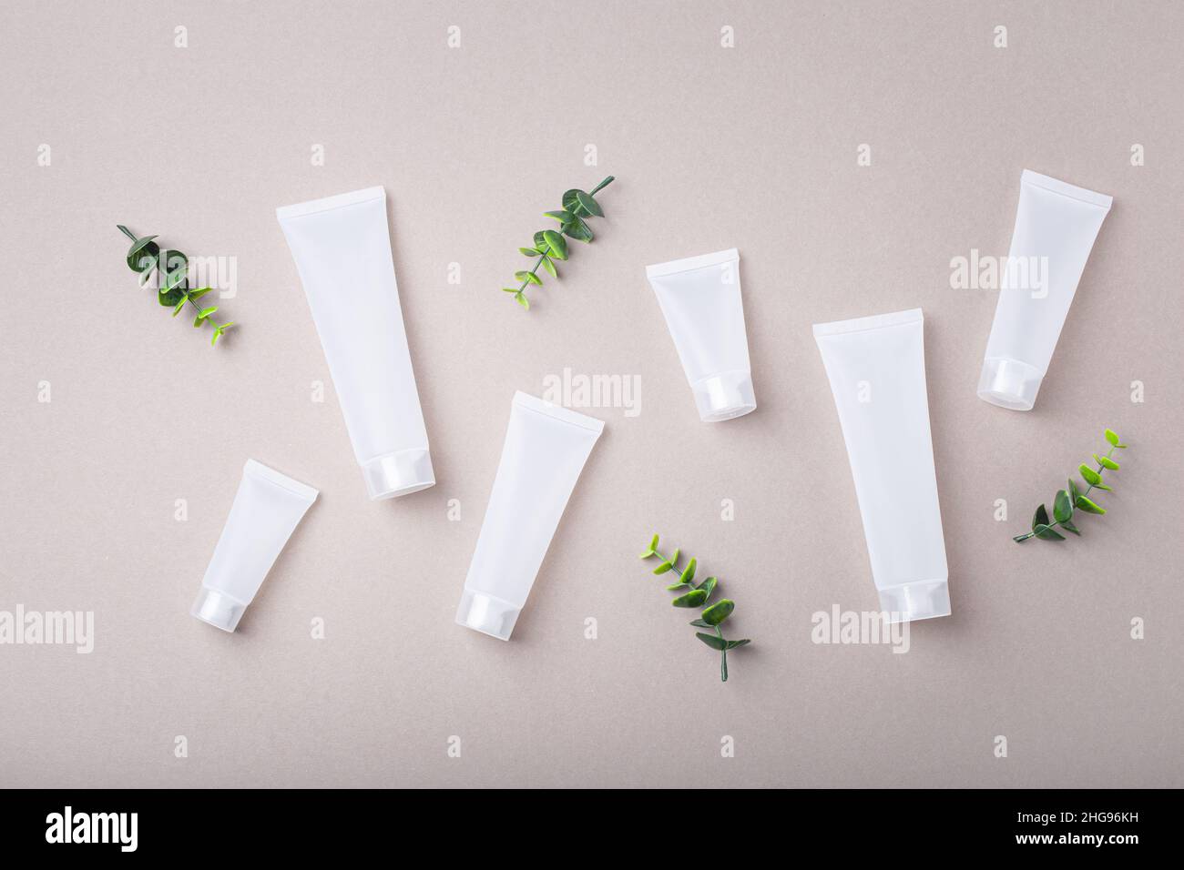 Skincare organic beauty product bottles, green plant leaves on gray background Stock Photo
