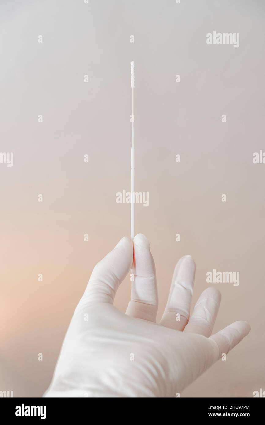 Hand holding quick flu test swab Stock Photo