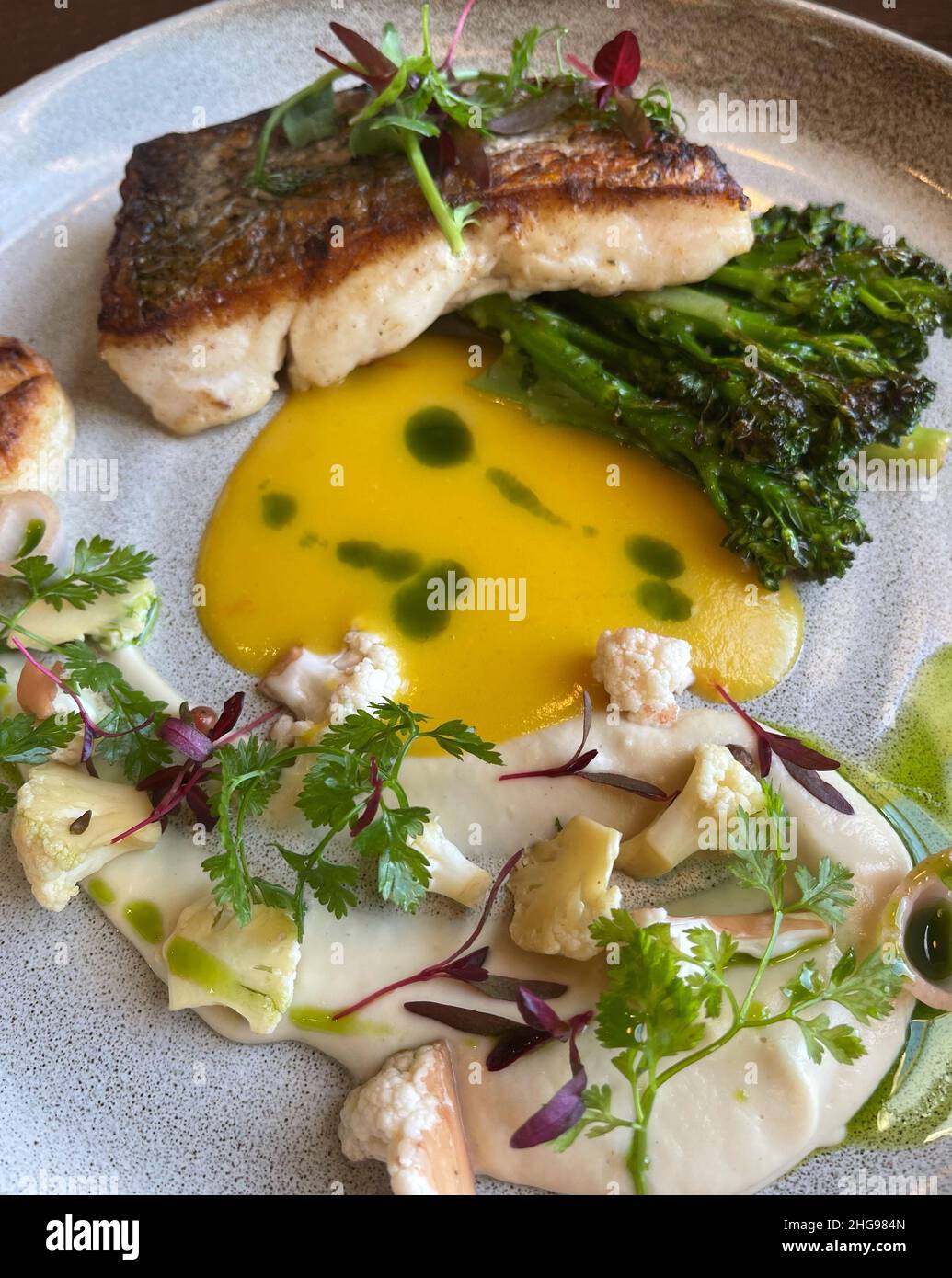 Hake fillet with broccoli, cauliflower, cauliflower puree and butter ...
