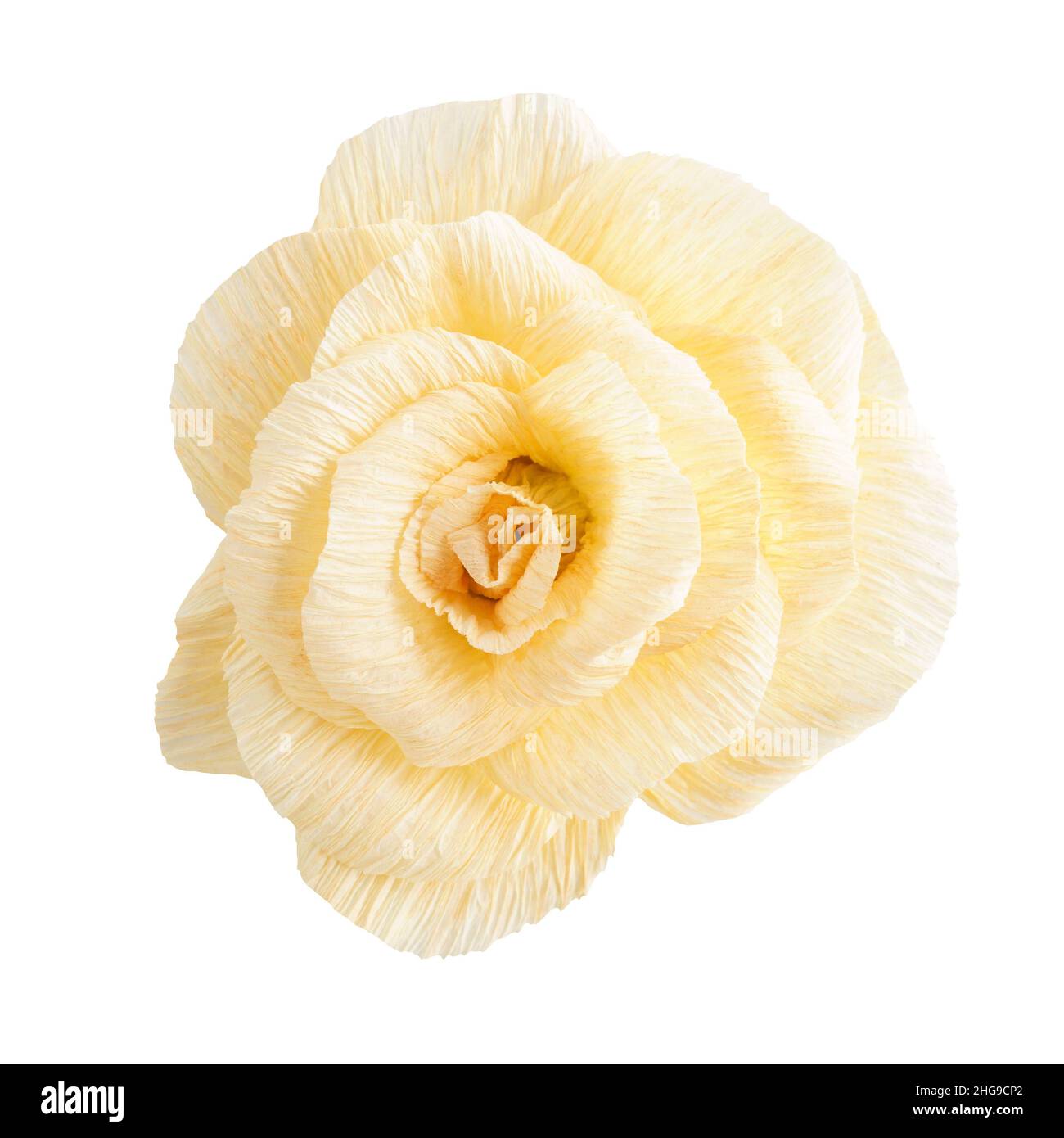 Rose paper flower on white Stock Photo