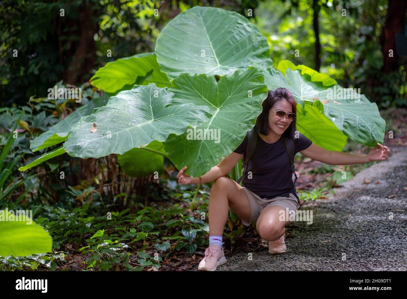 Smiling woman crouching by an oversized plant in a park, Malaysia Stock Photo