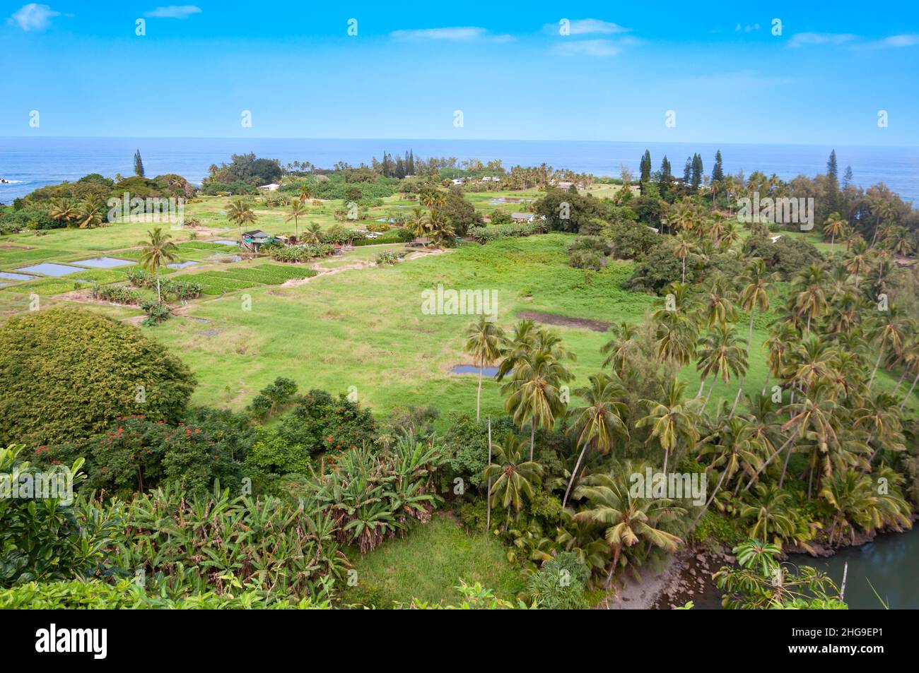 Aerial view of coastal landscape, Hana, Maui, Hawaii, USA Stock Photo