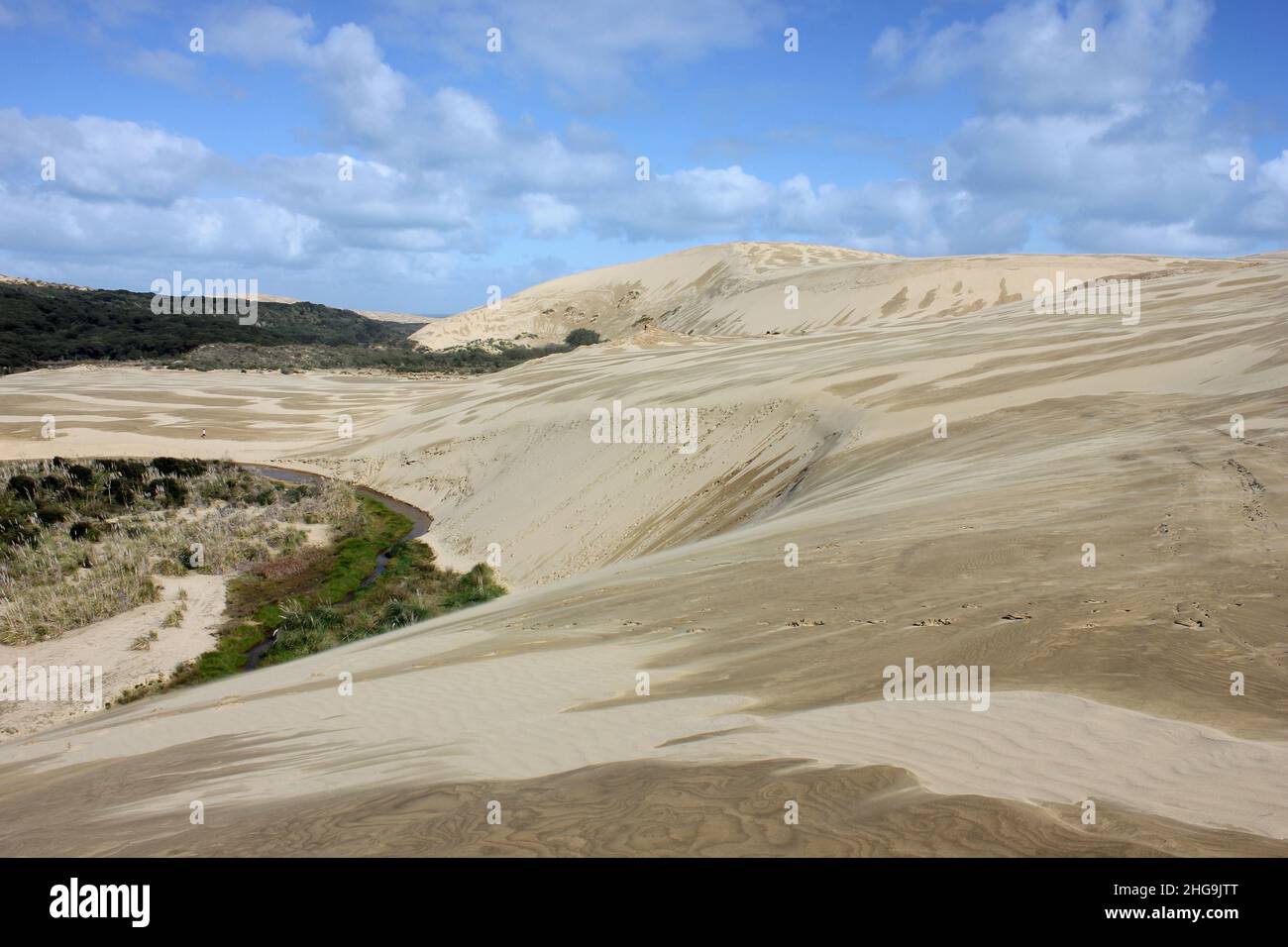 Wonderful shifting dune landscape on the North Island of New Zealand Stock Photo