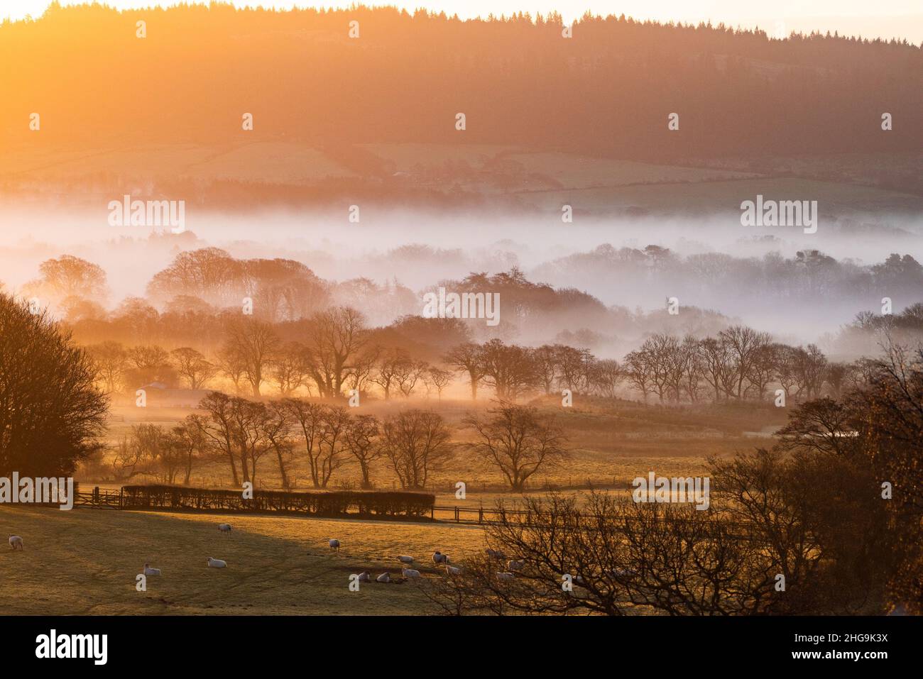 Preston, Lancashire, UK. 17th Jan, 2022. A misty and cold morning at sunrise near Preston, Lancashire, UK Credit: John Eveson/17�Թ����� Live News 17th Jan Stock Photo