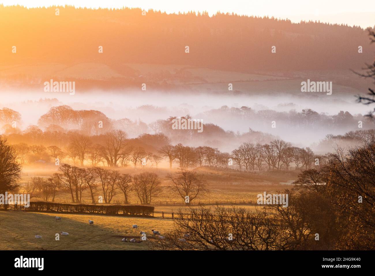 Preston, Lancashire, UK  17th January 2022  A misty and cold morning at sunrise near Preston, Lancashire, UK  Credit John Eveson/17�Թ����� Live News. Stock Photo