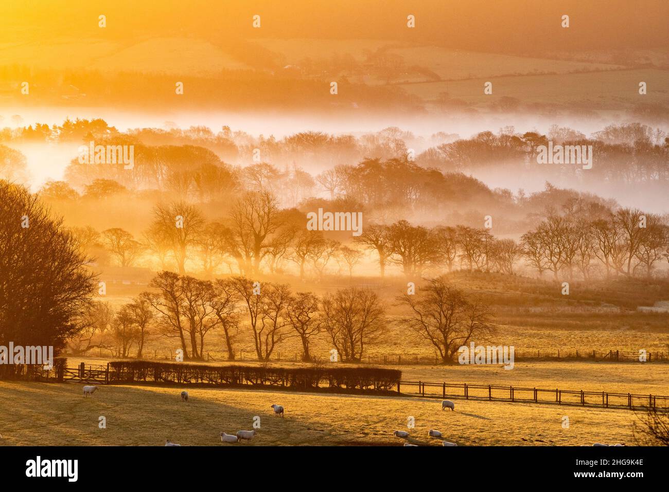 Preston, Lancashire, UK  17th January 2022  A misty and cold morning at sunrise near Preston, Lancashire, UK  Credit John Eveson/17�Թ����� Live News. Stock Photo