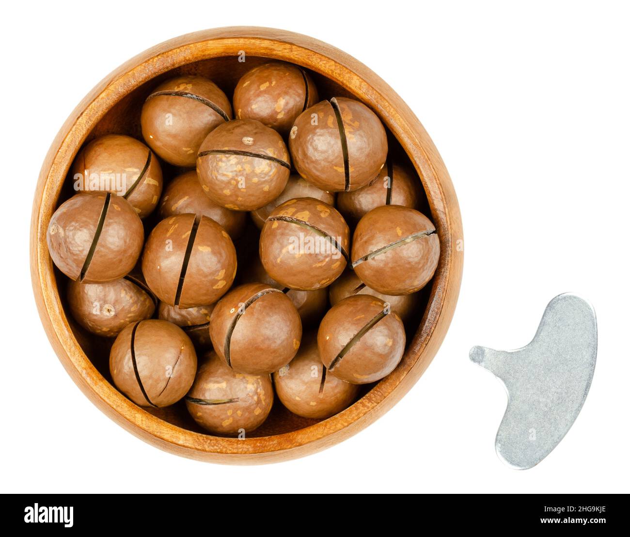 Macadamia nuts with sawn nutshells in a wooden bowl, and with opener key. Group of dried, unshelled nuts, known as Queensland, bush and maroochi nuts. Stock Photo