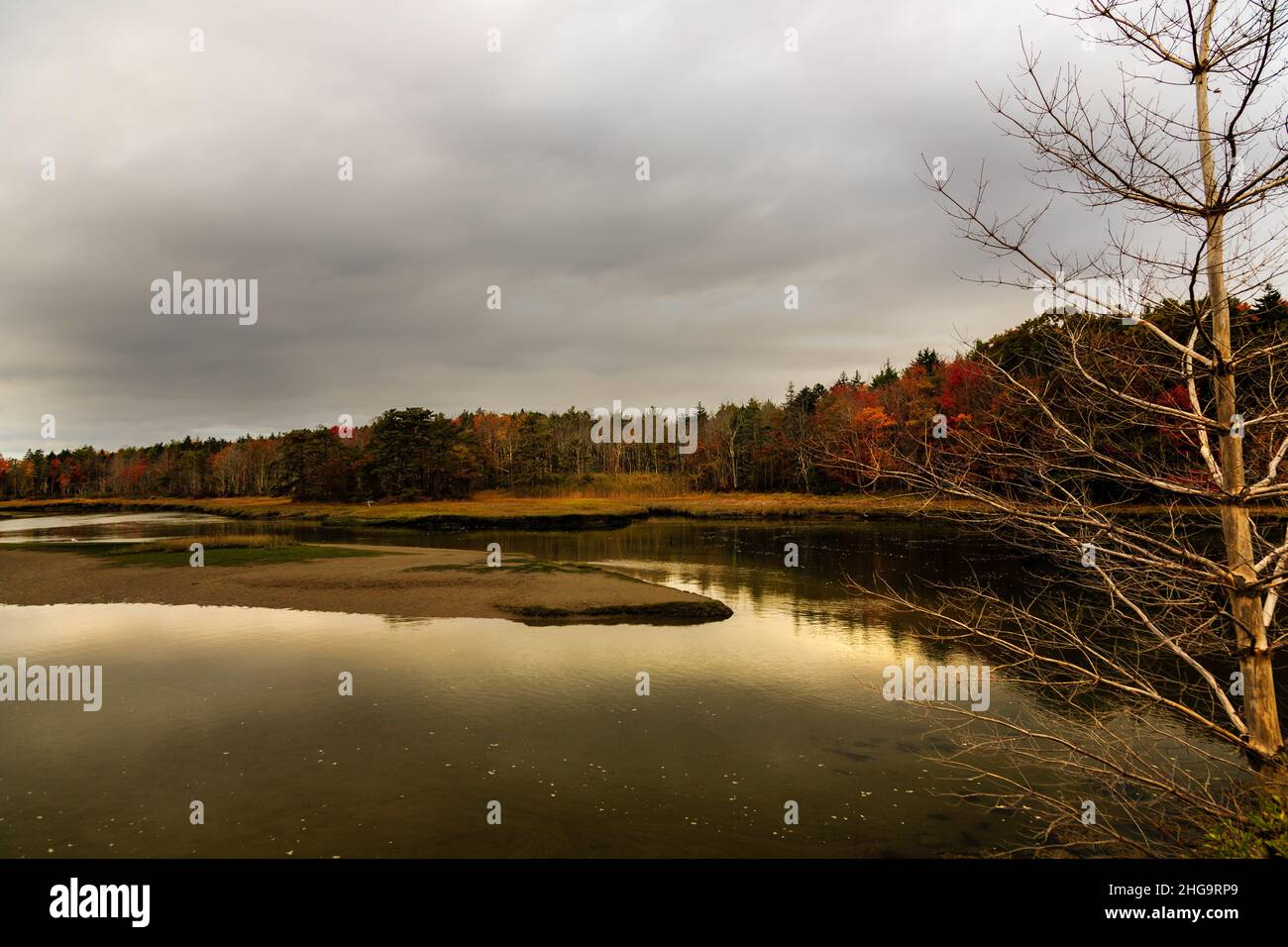 Serene, muted, colorful tidal marsh with moving clouds,  water, reflections, bare tree in foreground. Stock Photo