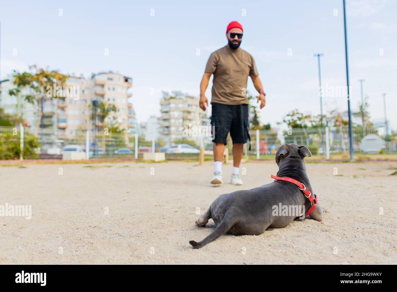 handsom man in red hat and sunglasses training dog outdoors in sity park zone dog walking area background Stock Photo