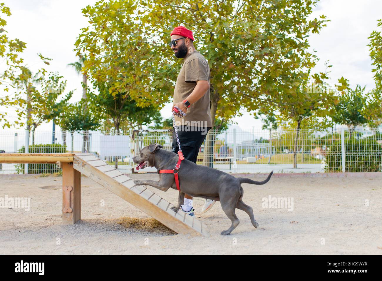 Cheerful mixed race man in eyeglases playing with his dog in sity park Stock Photo