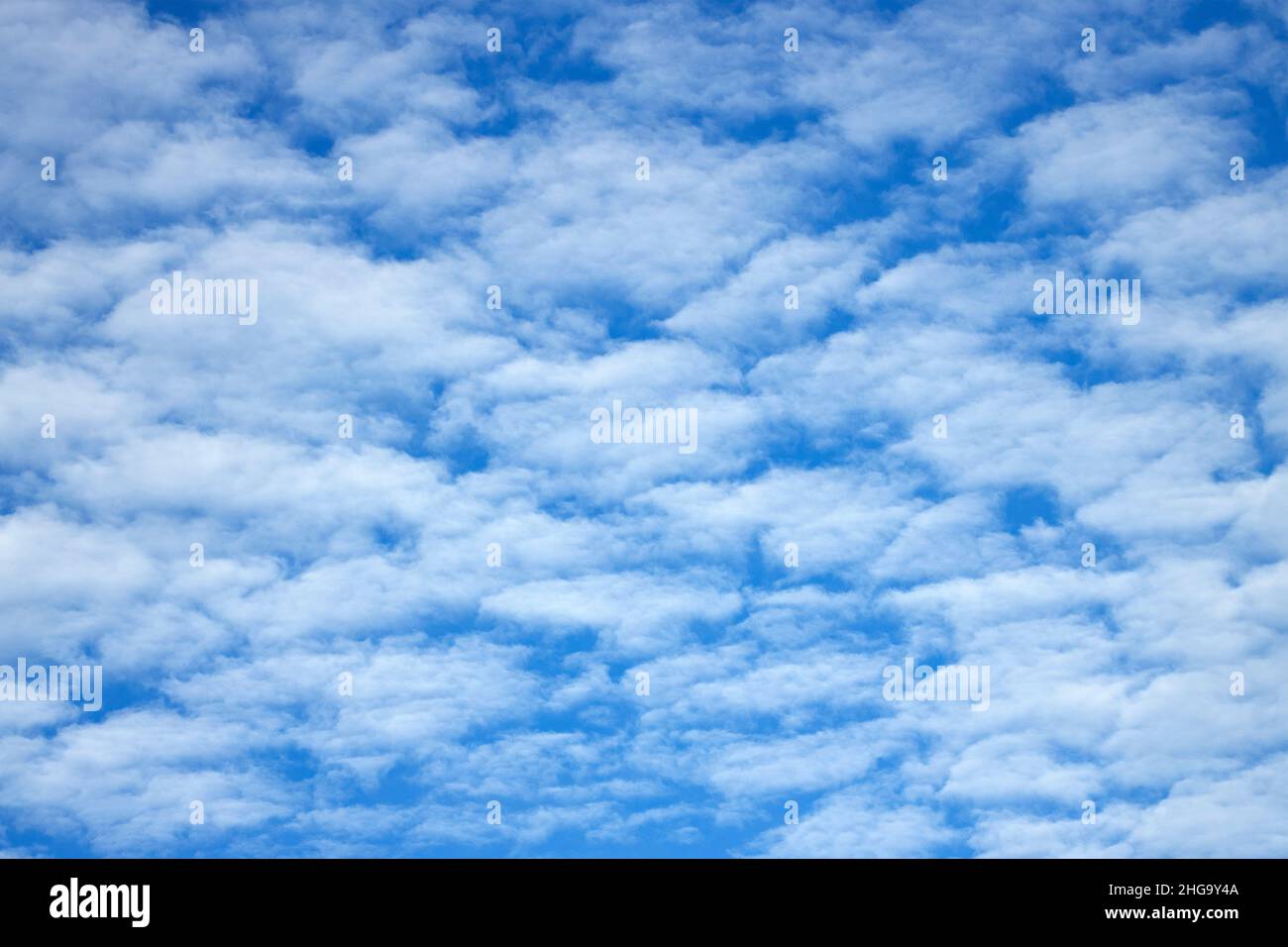 Altocumulus are mid-level layers or patches of cloudlets in the shape of rounded clumps. Usually compose of droplets of water they may also ice Stock Photo