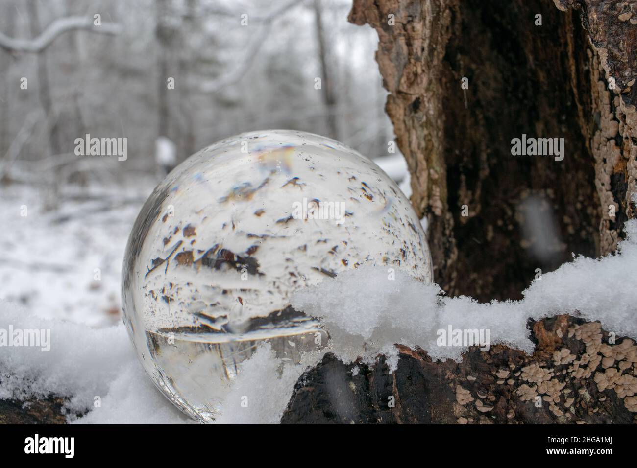 Nature and a glass ball, closeup Stock Photo