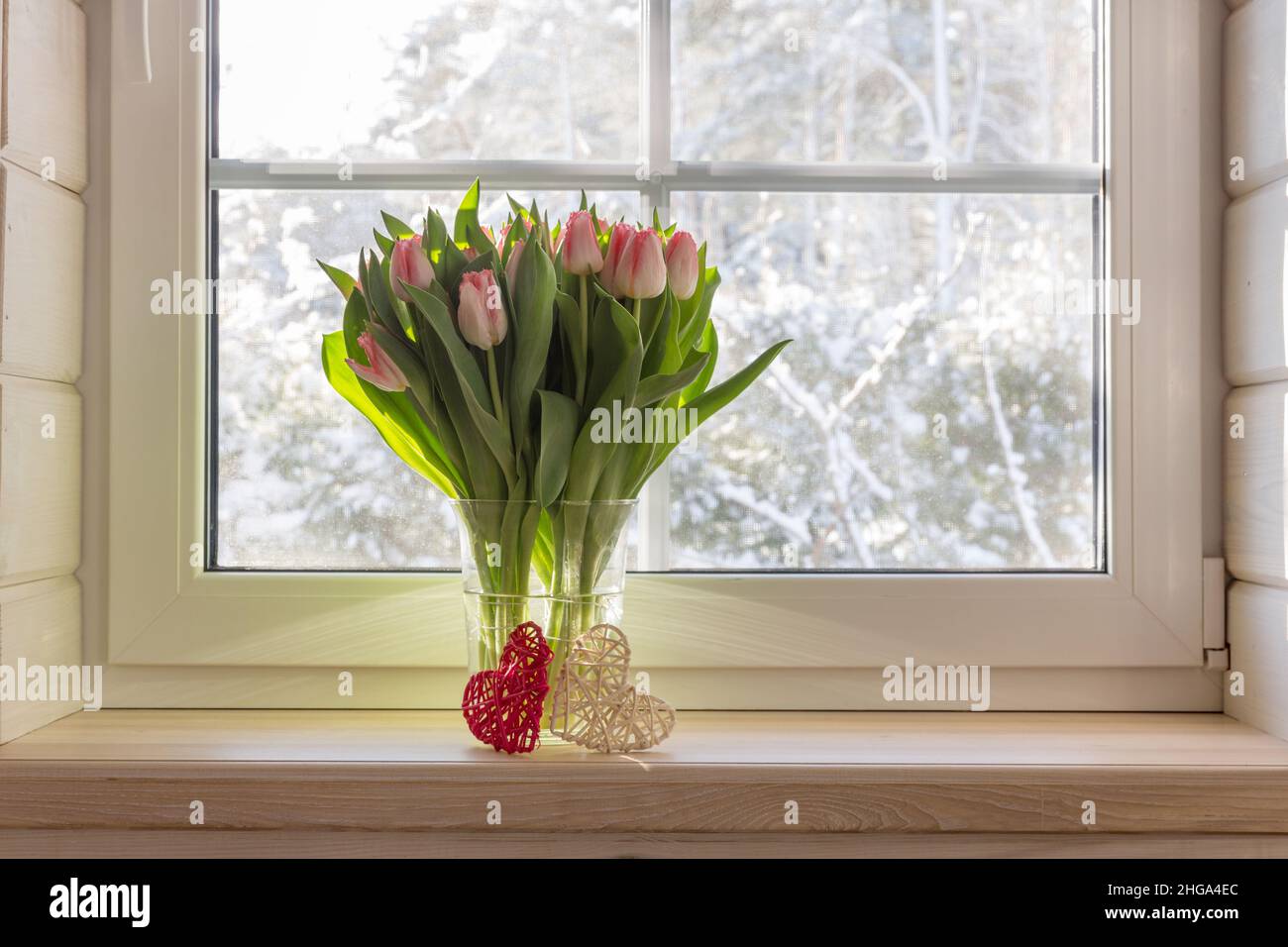 Valentines Day or 8 March Women's Day greeting card, spring bouquet of tulips on the windowsill Stock Photo