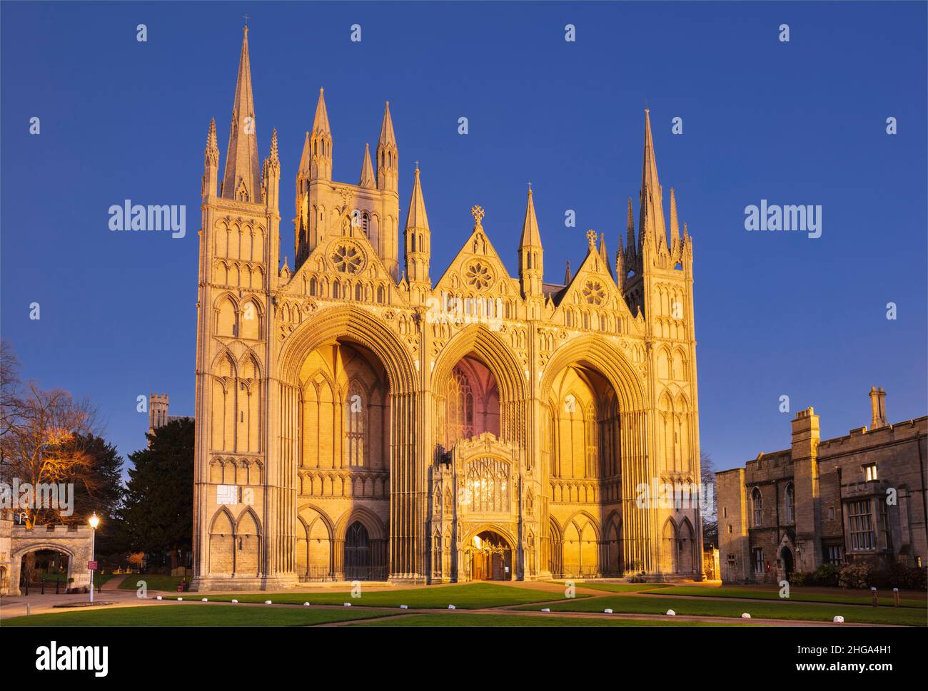 Peterborough cathedral Peterborough cathedral gothic facade at night Peterborough Cambridgeshire England UK GB Europe Stock Photo