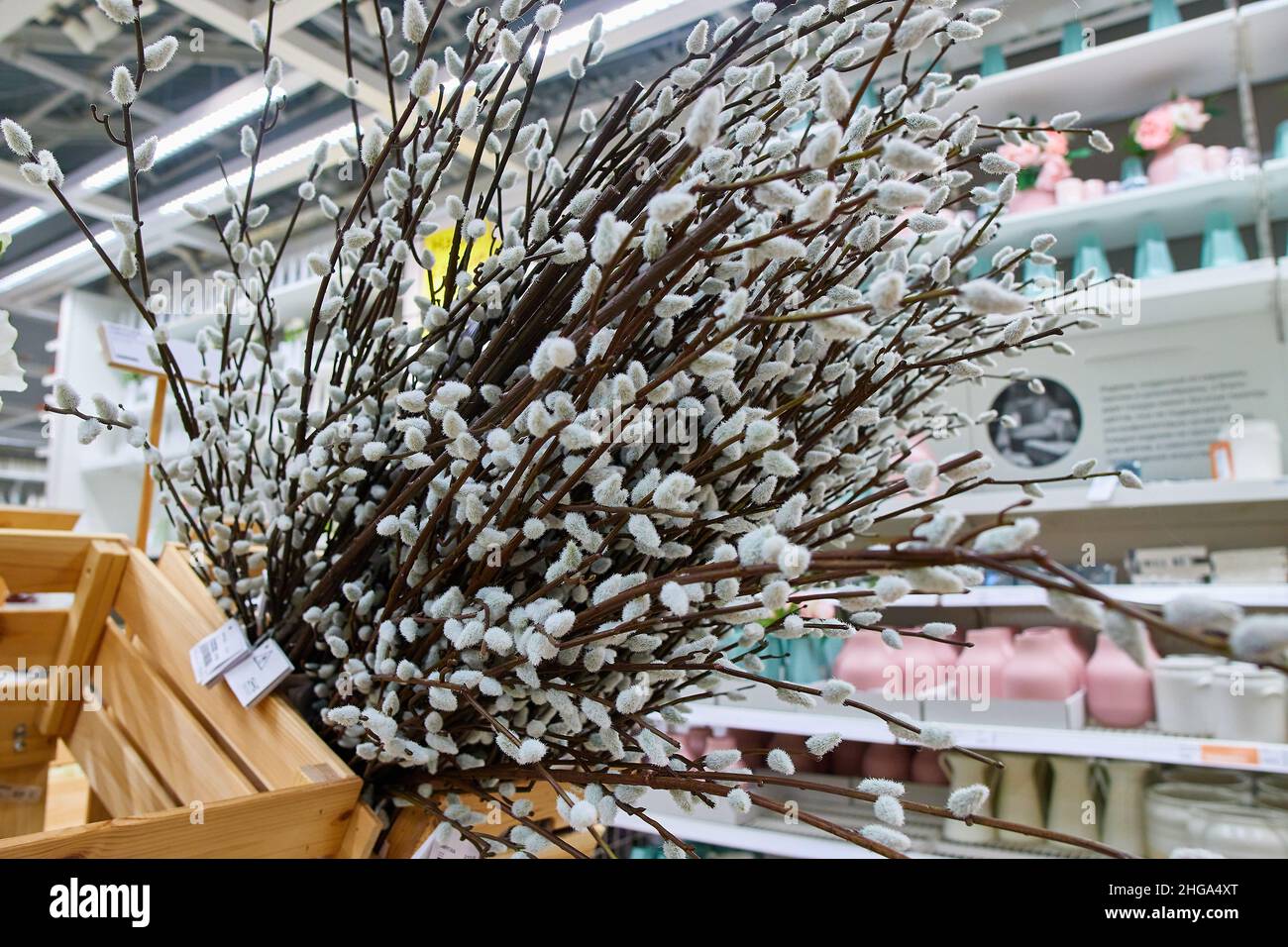 Willow branches for sale hires stock photography and images Alamy