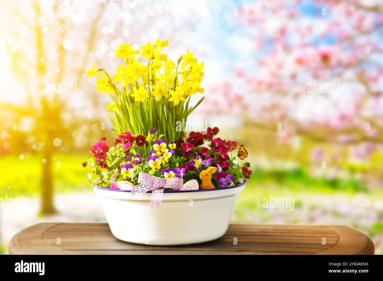 Pansies and daffodils in a pot with Easter eggs and a little bunny against the background of a garden on a sunny spring day, copy space. Stock Photo
