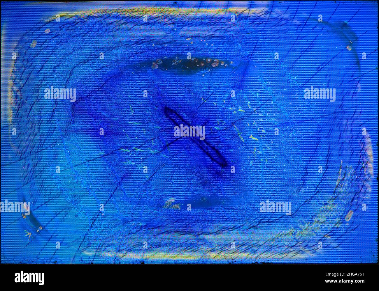 Broken lcd screen background Stock Photo