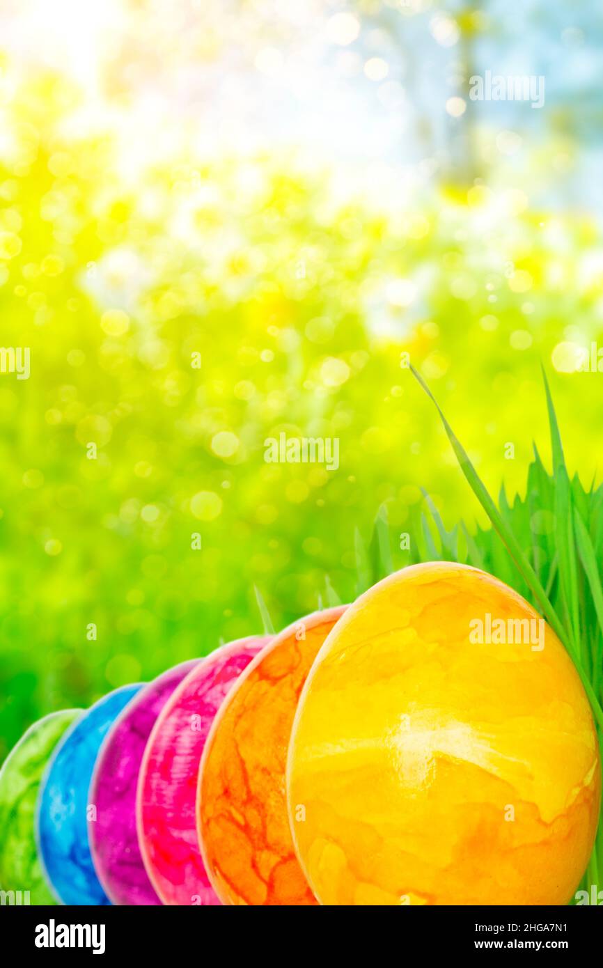 Six colorful Easter Eggs in all shades of the rainbow on a green spring season background, copy space for Happy Easter text. Stock Photo