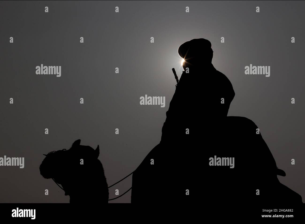 New Delhi, New Delhi, India. 19th Jan, 2022. An Indian soldier is silhouetted against the sun as he rides a camel ahead of the Beating Retreat ceremony. (Credit Image: © Karma Sonam Bhutia/ZUMA Press Wire) Stock Photo