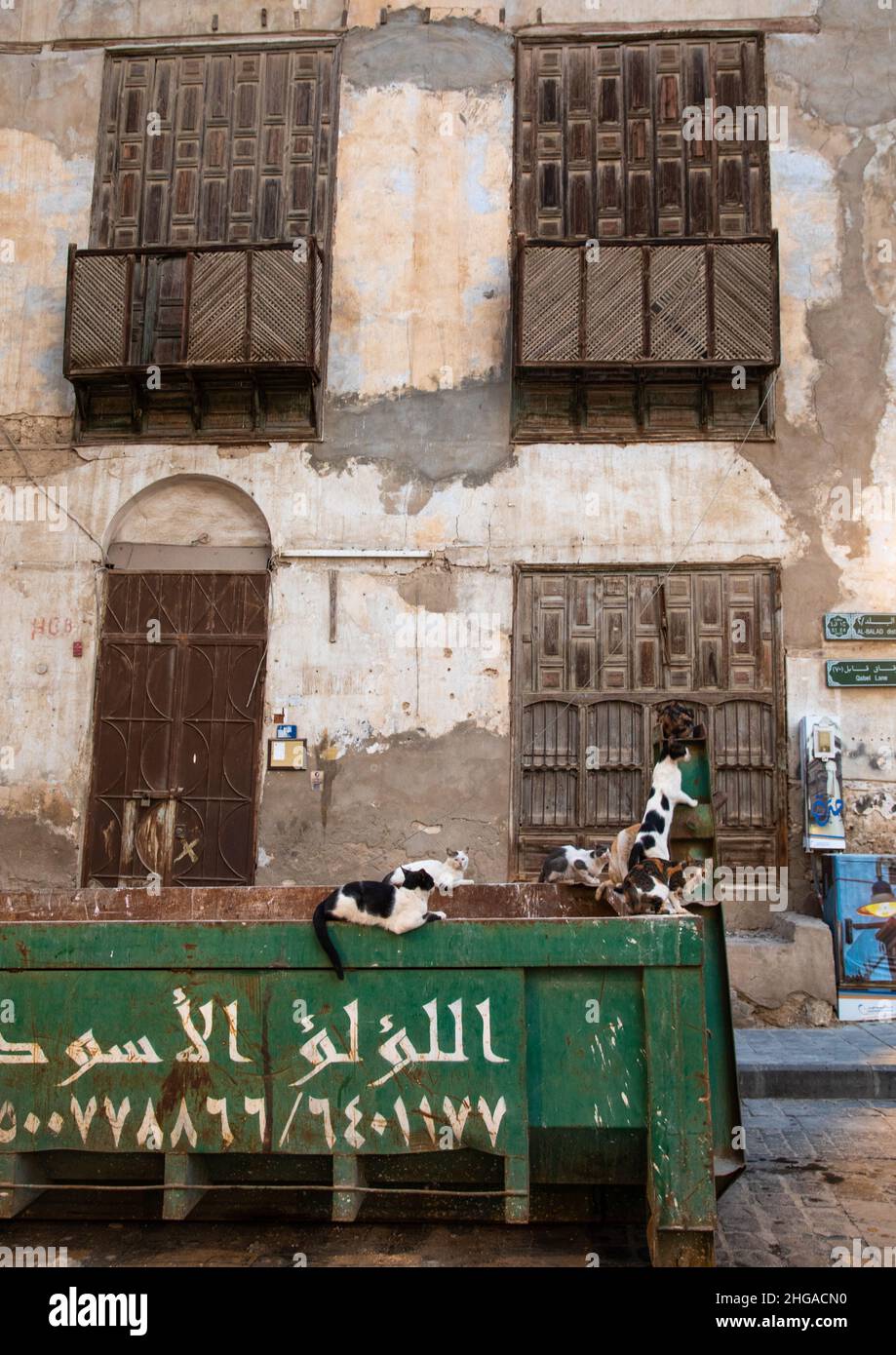 Cats in trashes in front of a house with wooden mashrabiya in alBalad