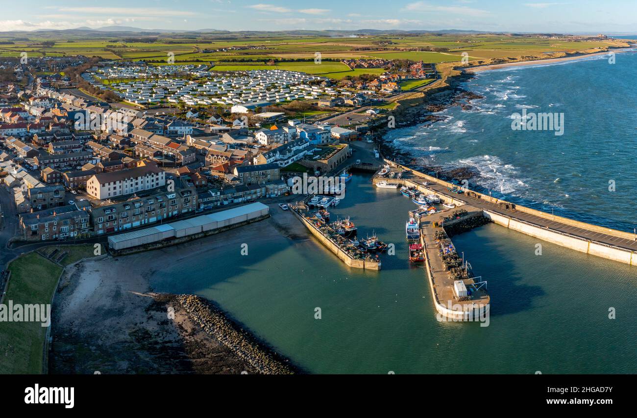 Aerial view from drone of Seahouses fishing harbour in Northumberland ...