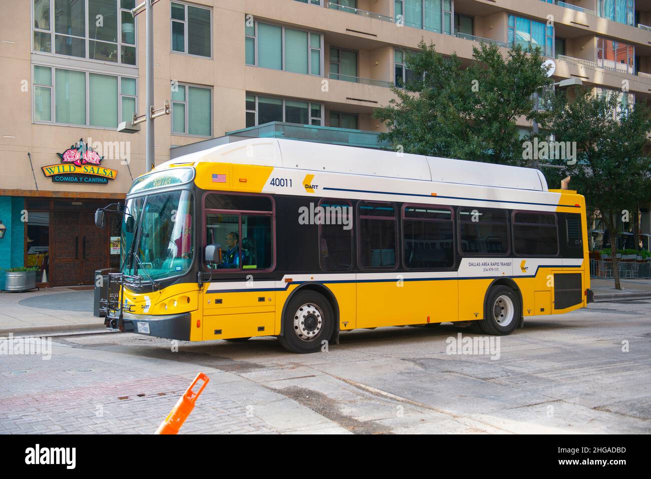 Dallas DART (Dallas Area Rapid Transit) bus on Main Street in downtown ...