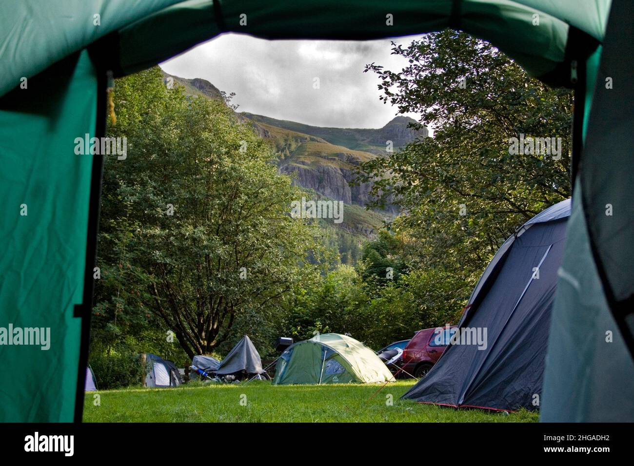 Lake district great langdale camp site view from inside green tent,  cumbria's national park UK, hills mist scenic view looking up past trees  Stock Photo - Alamy