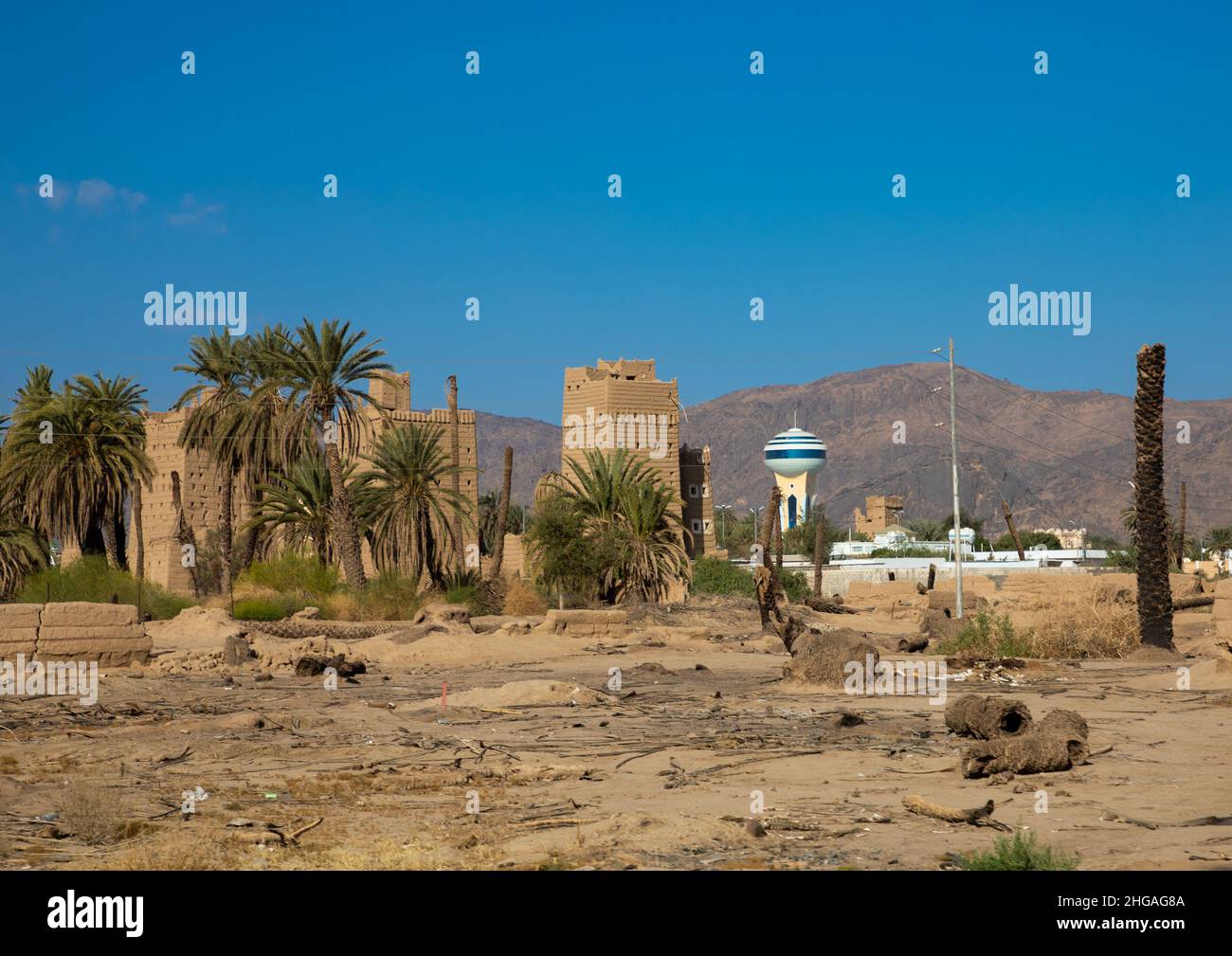 Traditional old mud houses with palm trees, Najran Province, Najran, Saudi Arabia Stock Photo