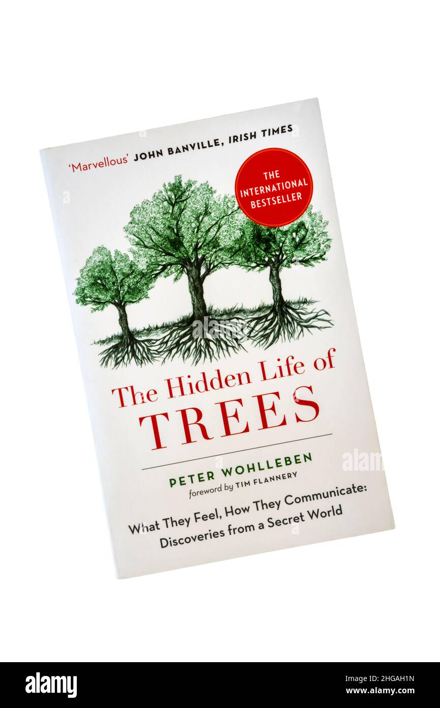 A paperback copy of The Hidden Life of Trees by Peter Wohlleben.  First published in Germany in 2015. Shown is 2017 English edition. Stock Photo