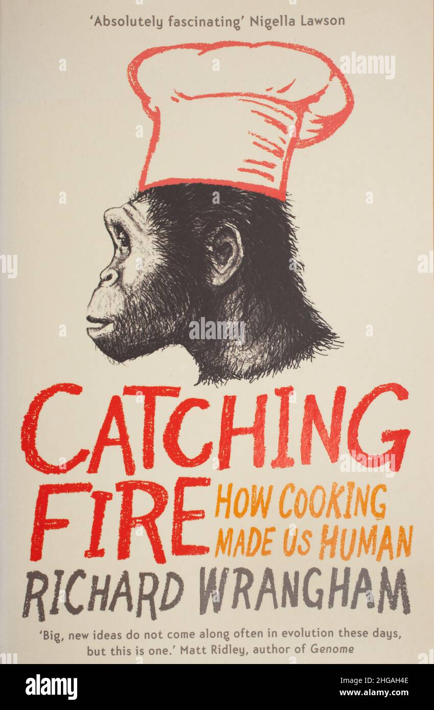 The book, Catching Fire: How Cooking Made Us Human by British primatologist Richard Wrangham Stock Photo