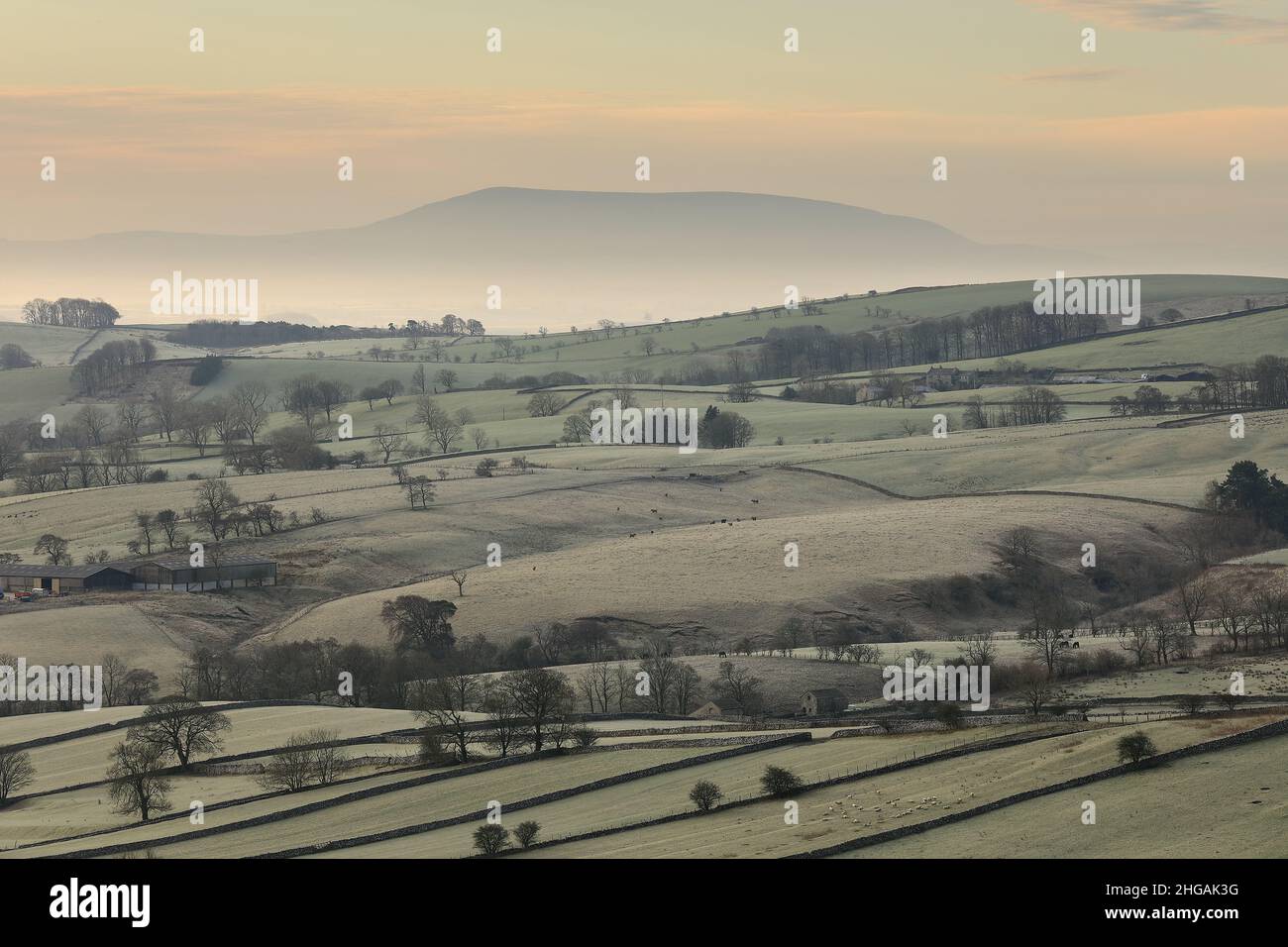 View of the rolling countryside of Malhamdale, Yorkshire Dales, with Pendle Hill, Lancashire, in the distance Stock Photo