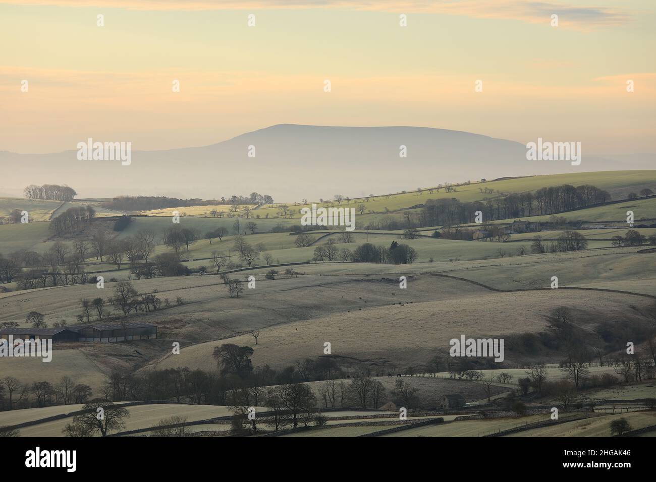 View of the rolling countryside of Malhamdale, Yorkshire Dales, with Pendle Hill, Lancashire, in the distance Stock Photo