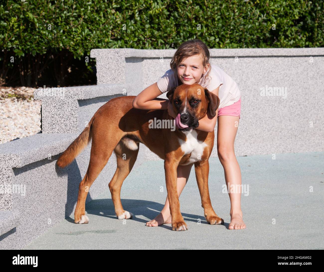 little girl stroking her dog Stock Photo