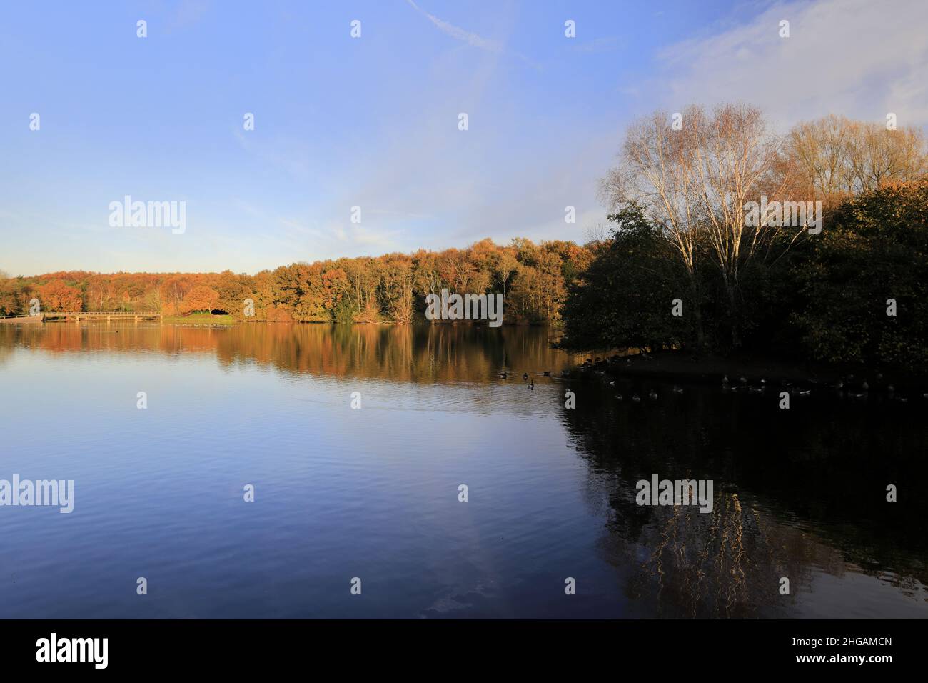 Autumn view of the lake at  Rufford Abbey near Ollerton town, Nottinghamshire, England, UK Stock Photo