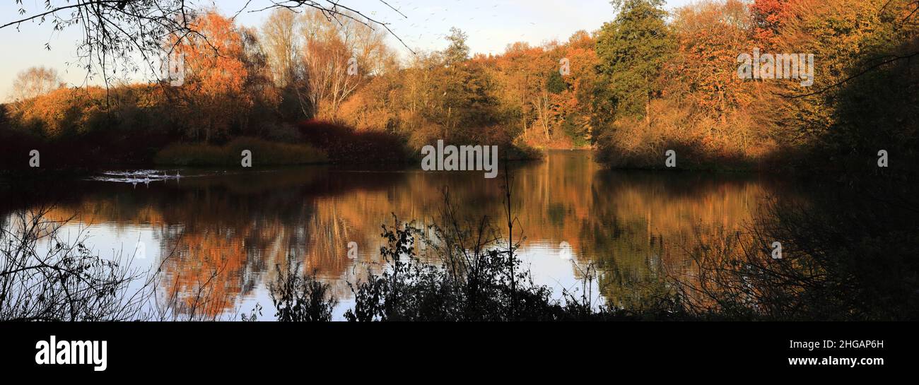 Autumn view of the lake at  Rufford Abbey near Ollerton town, Nottinghamshire, England, UK Stock Photo