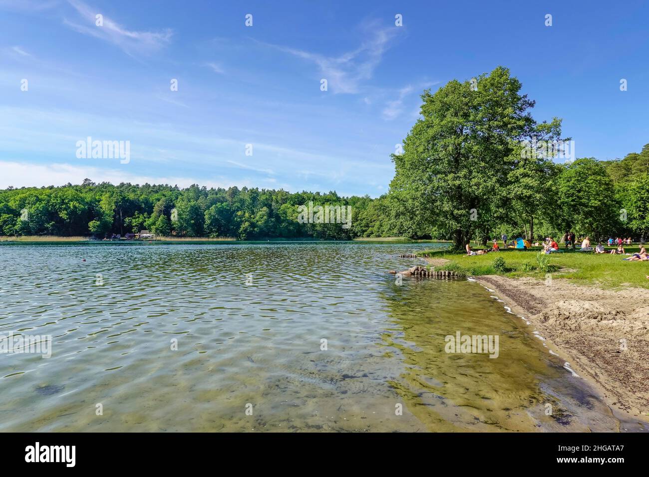 Grosser stechlinsee hi-res stock photography and images - Alamy