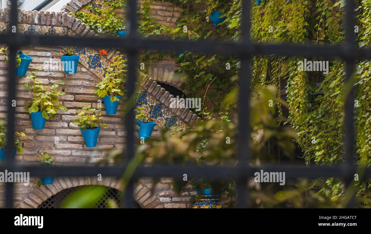 Plantas y muro dentro de una casa y tras una verja de metal en Córdoba, España Stock Photo