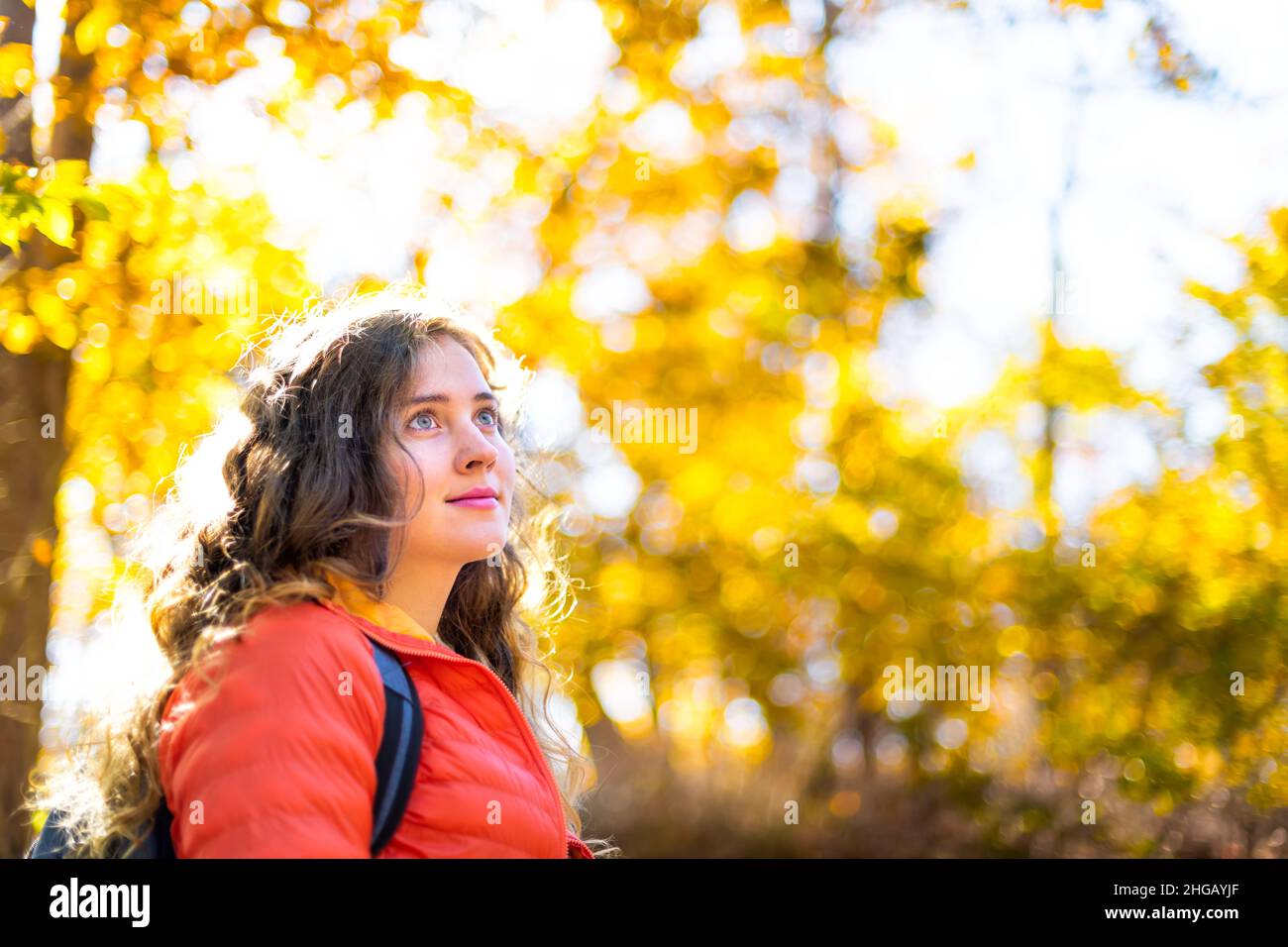 Young woman face portrait with blue eyes on hiking trail colorful yellow orange foliage fall autumn forest bokeh background on cold sunny day in Great Stock Photo