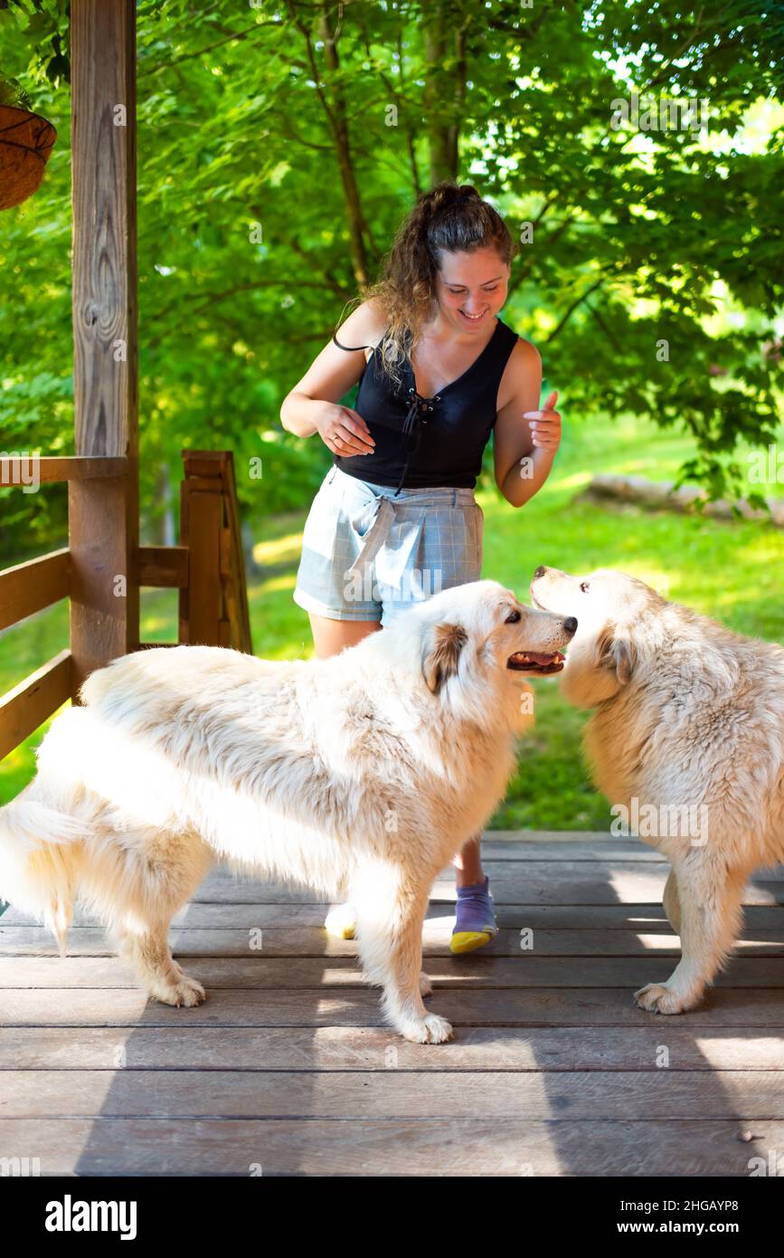 Young happy woman girl petting two large white great pyrenees dogs outside at home porch of log cabin in rural farm countryside Stock Photo