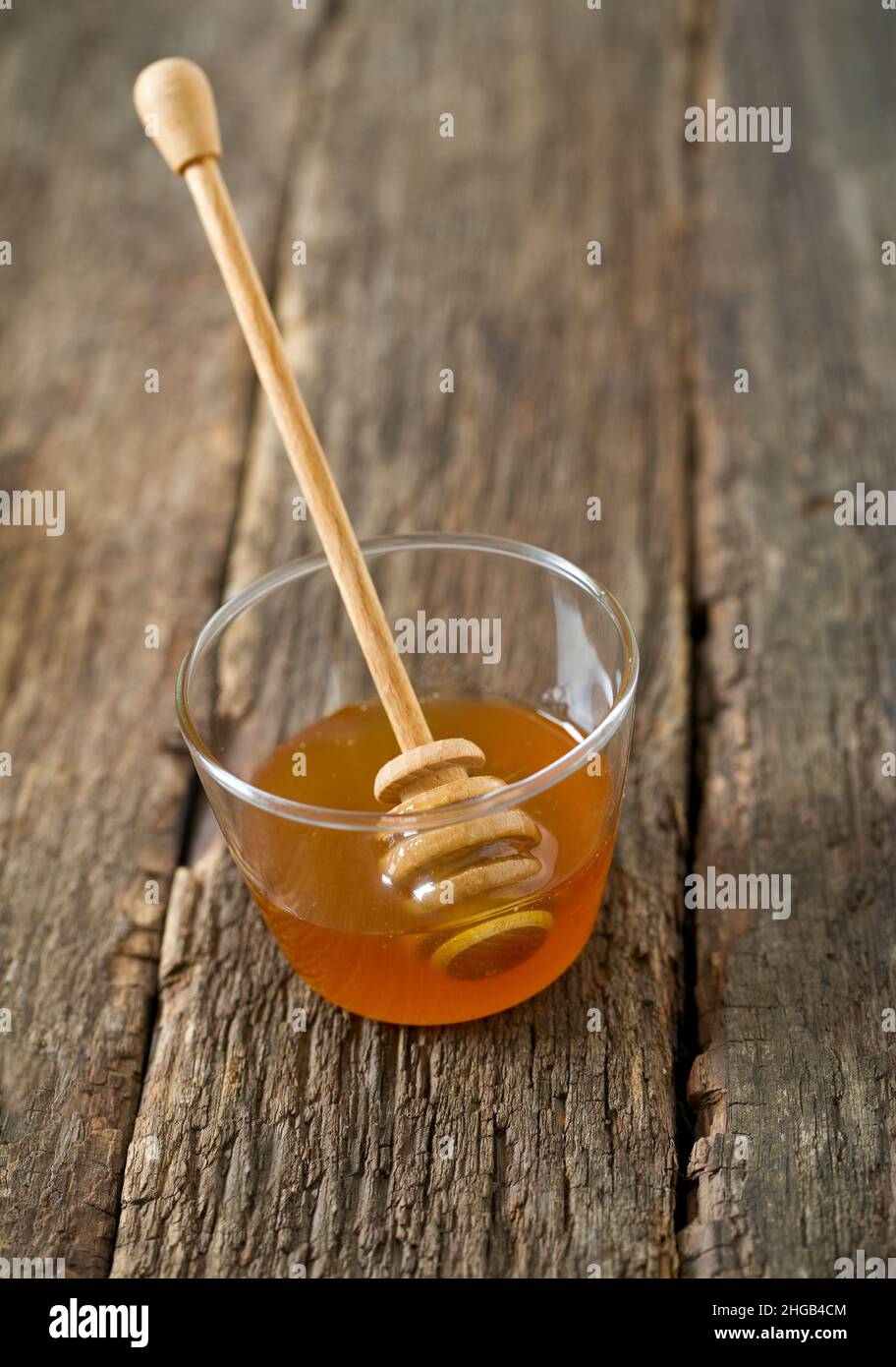 Honey bee copyspace hi-res stock photography and images - Alamy