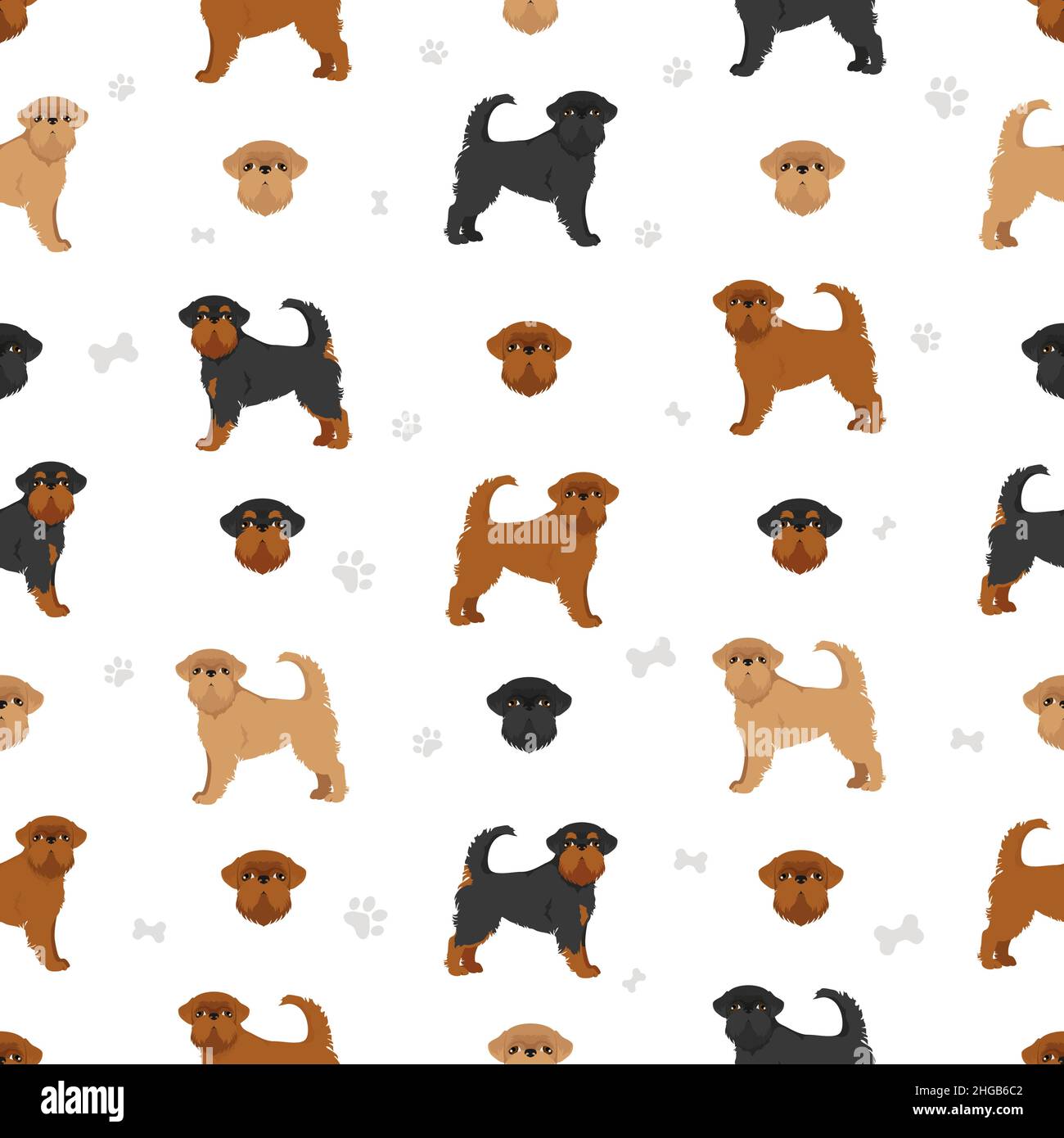 Griffon Belge seamless pattern. Different poses, coat colors set.  Vector illustration Stock Vector