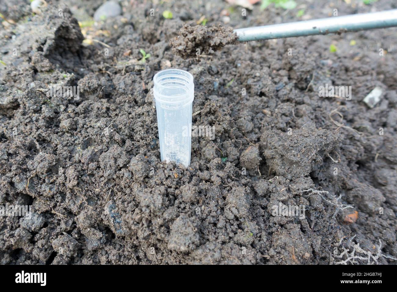 Soil test tube to carry out soil testing to find out acidity Stock Photo