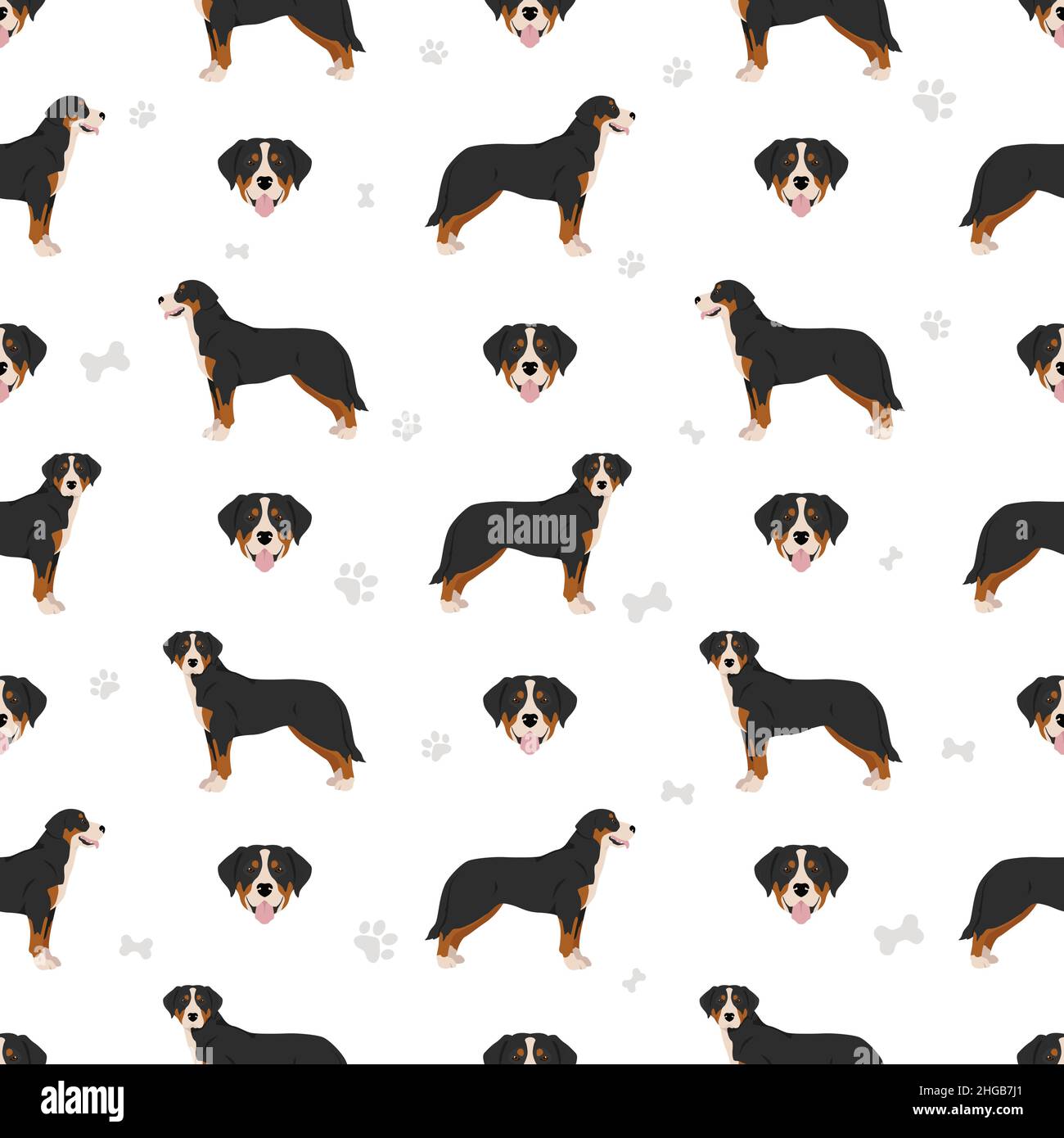 Greater Swiss mountain dog seamless pattern. Different poses, coat colors set.  Vector illustration Stock Vector