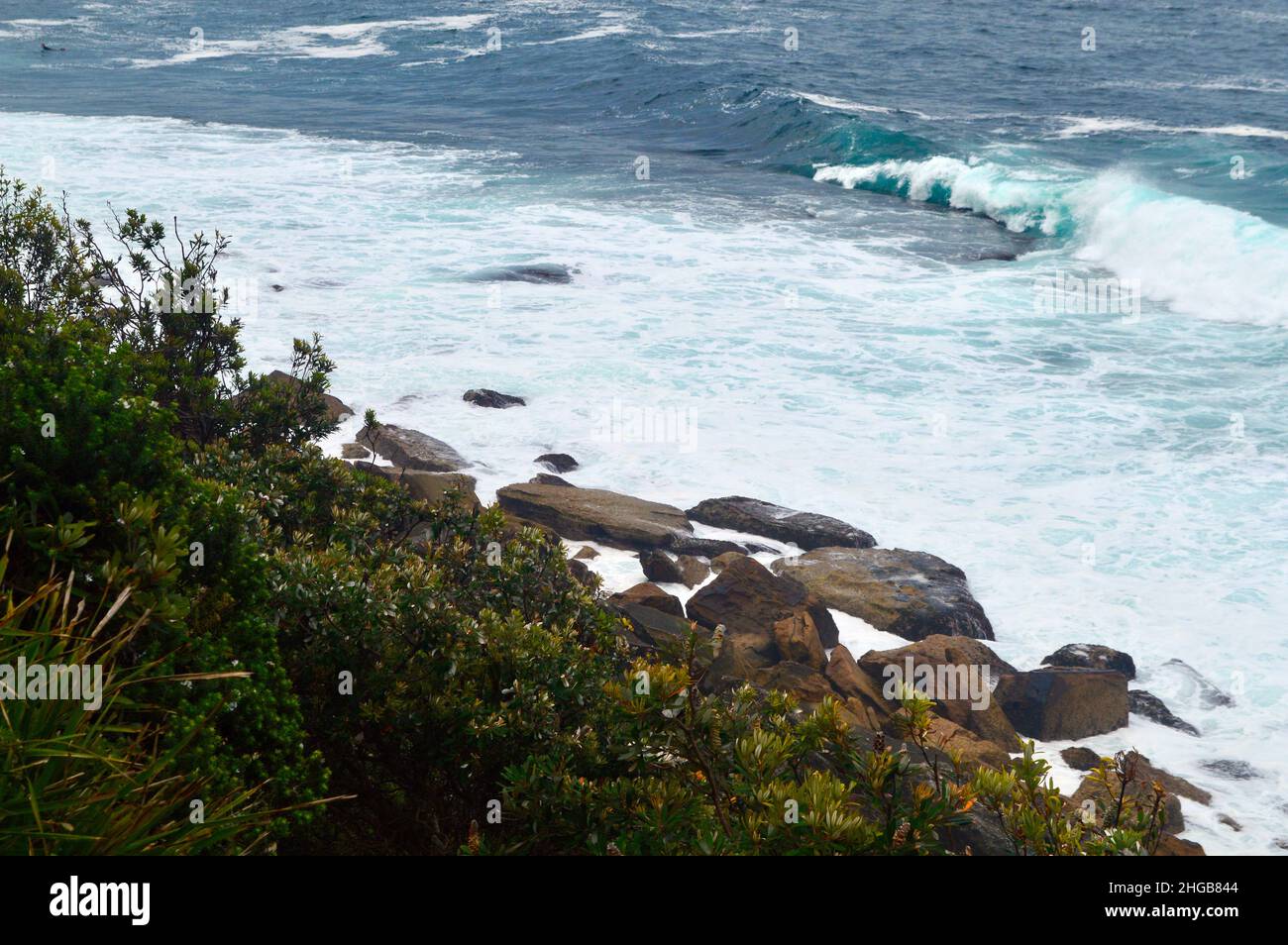 A view of the coastline at Fairy Bower near Manly Beach in Sydney, Australia Stock Photo