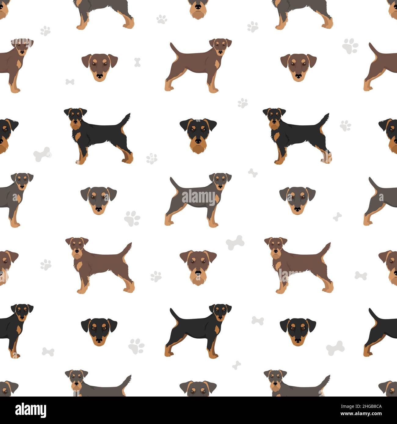 Jagdterrier seamless pattern. Different poses, coat colors set.  Vector illustration Stock Vector